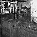 souvenirs en noir et blanc (130)